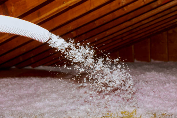 Best Attic Insulation Installation  in Chevy Chase Village, MD