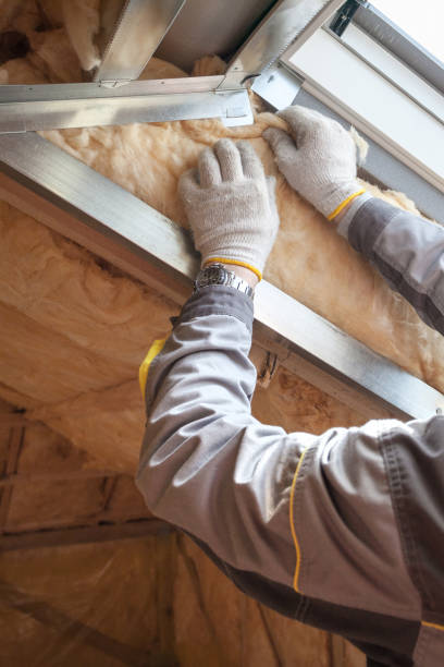 Best Insulation Inspection Services  in Chevy Chase Village, MD