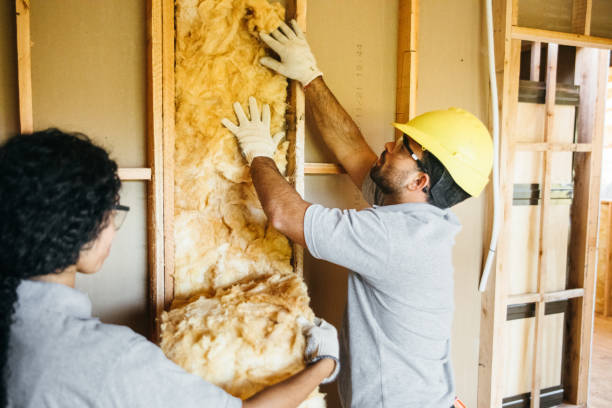 Insulation for Commercial Buildings in Chevy Chase Village, MD