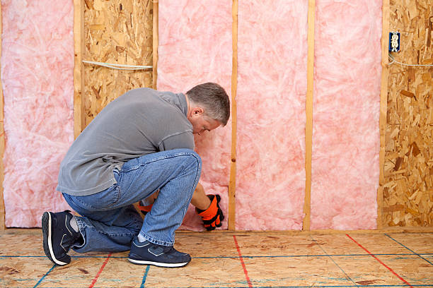 Best Best Insulation Companies  in Chevy Chase Village, MD